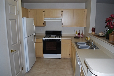 Kitchen-Lots of cabinet space!